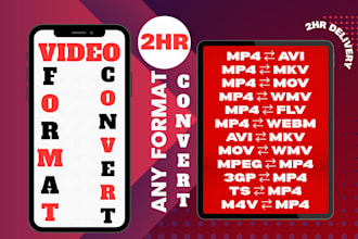 convert your video to any format like mp4, avi, mkv and more