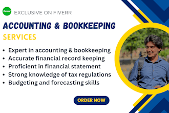 do accounting, bookkeeping projects, reports and ratio analysis services