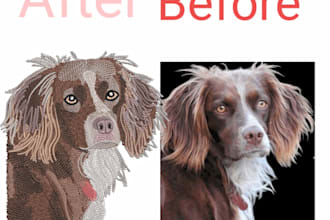 do embroidery digitizing into dst,pes,hus,jef,emb in 1 hour