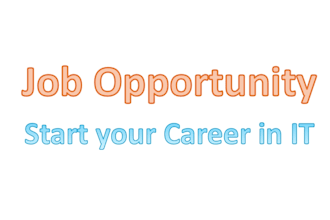 present you fast career in IT