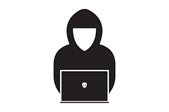 perform a professional pentest for your website or network