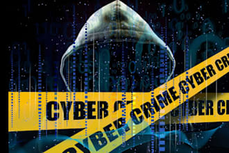 do digital forensics, data recovery, and cyber crime investigations