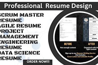 craft an executive, federal ats compliance resume