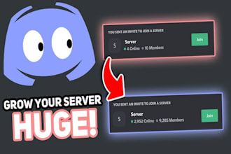 do discord server, discord promotion, discord server setup