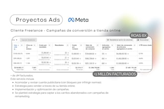 review and optimize your meta or google ads account