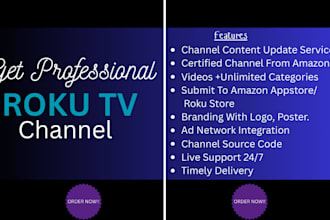 develop professional roku tv channel