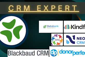 setup civicrm bloomerang neoncrm kindful salsa blackbaud donordock salesforce