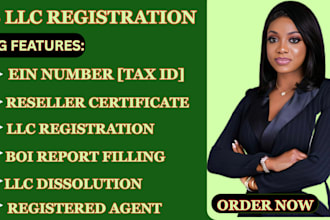 do US llc registration, boi report and sale tax permit, ein number with US bank
