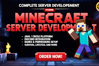 develope and setup professional minecraft server for you