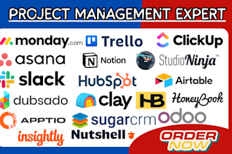 setup asana clickup trello slack dubsado hootsuite studio ninja honeybook crm