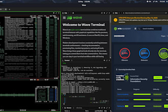 perform digital forensics and malware analysis on your website or system