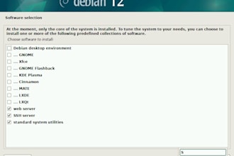 provide online IT support and system administration