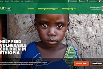 nonprofit website, charity website, ngo website, 501c3 website, donation website