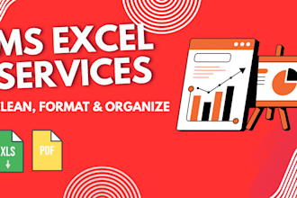 clean, format, and organize your excel data professionally