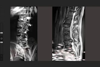 do medical anatomy and scientific illustration