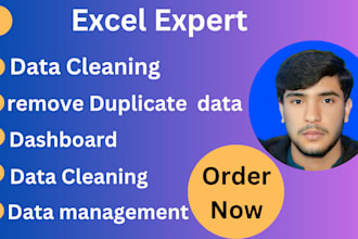 do excel calculations, data management expert, delete,  duplicates data in excel