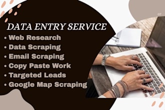 excel data entry, web research, copy paste, email scraping and data collection