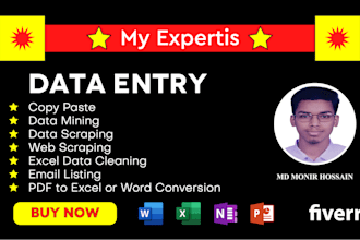 accurate data entry in word, excel, PDF, typing, and web research