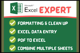 clean, format, merge, split, excel data