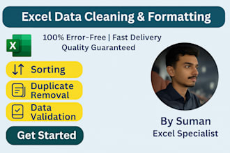 professional excel data entry formulas pivot tables reports