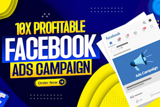 setup and manage facebook ads campaign, shopify fb ads, meta ads, fb marketing