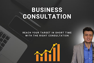 provide professional business consultancy and coaching