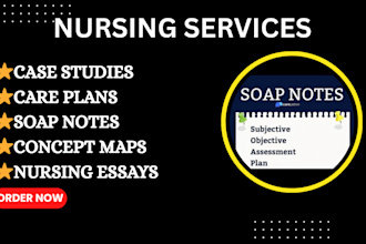 do shadow health, ihuman, lab simulation,care plan birp note, soap note, nursing