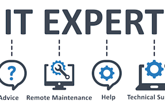 provide IT support and python java coding help
