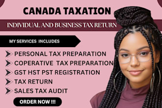 do canada corporation tax, t2 canada as CPA business tax canada