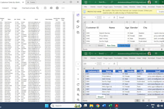 clean, format, merge, and split your excel data professionally