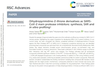 do literature search and systematic review