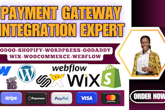 integrate highrisk payment gateway on odoo duda godaddy website ecommerce store