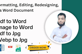 professionally format, edit and design your ms word document
