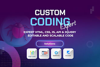 custom code in gohighlevel, clickfunnels, systeme io, kajabi