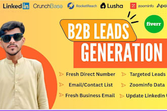 provide targeted lusha and sales navigator leads
