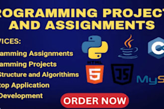do computer science assigned tasks, java, python and projects