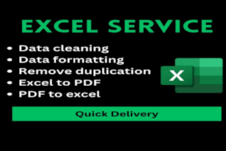 professional data cleaning services
