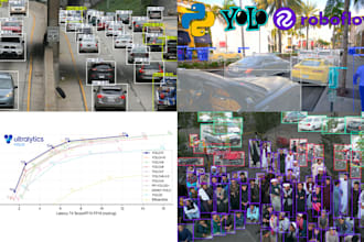 develop yolo object detection, segmentation models and provide data annotation