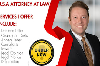 write legal appeal, legal motion, lawsuit, legal complaint, and legal letters