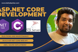 develop or fix your asp dot net core mvc web api application