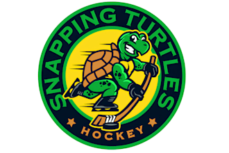 design creative hockey baseball football or other sports mascot logo