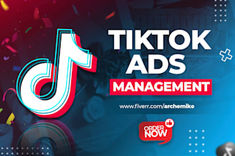 setup and manage tiktok ads campaign, tiktok ads, tik tok advertising within 24