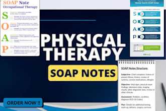 write quality soap notes, birp notes, progress notes, clinical narratives