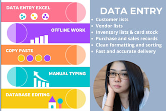 professional excel data entry and formatting