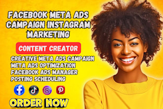 facebook meta ads campaign manage instagram marketing fb adversting