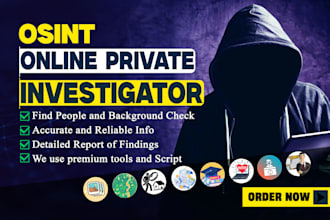 be your private investigator, osint, detective, background check, forensics