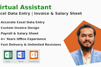 be your virtual assistant for excel data entry, invoice and salary sheet