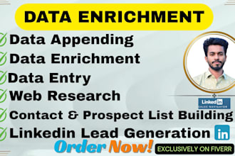 provide data enrichment, linkedin research and data mining