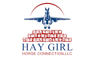 design high flying horse showing logo