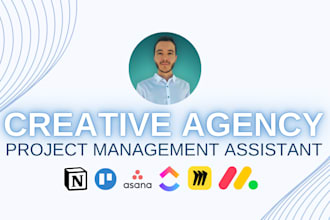 be operations assistant or project management assistant for your creative agency